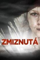 Zmiznutá.jpg