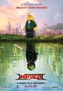 LEGO® Ninjago® film.jpg