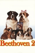 Beethoven 2.jpg