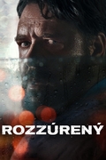 Rozzúrený.jpg