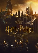 Harry Potter 20 rokov filmových kúziel – Návrat do Rokfortu.jpg