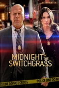 Midnight in the Switchgrass.jpg
